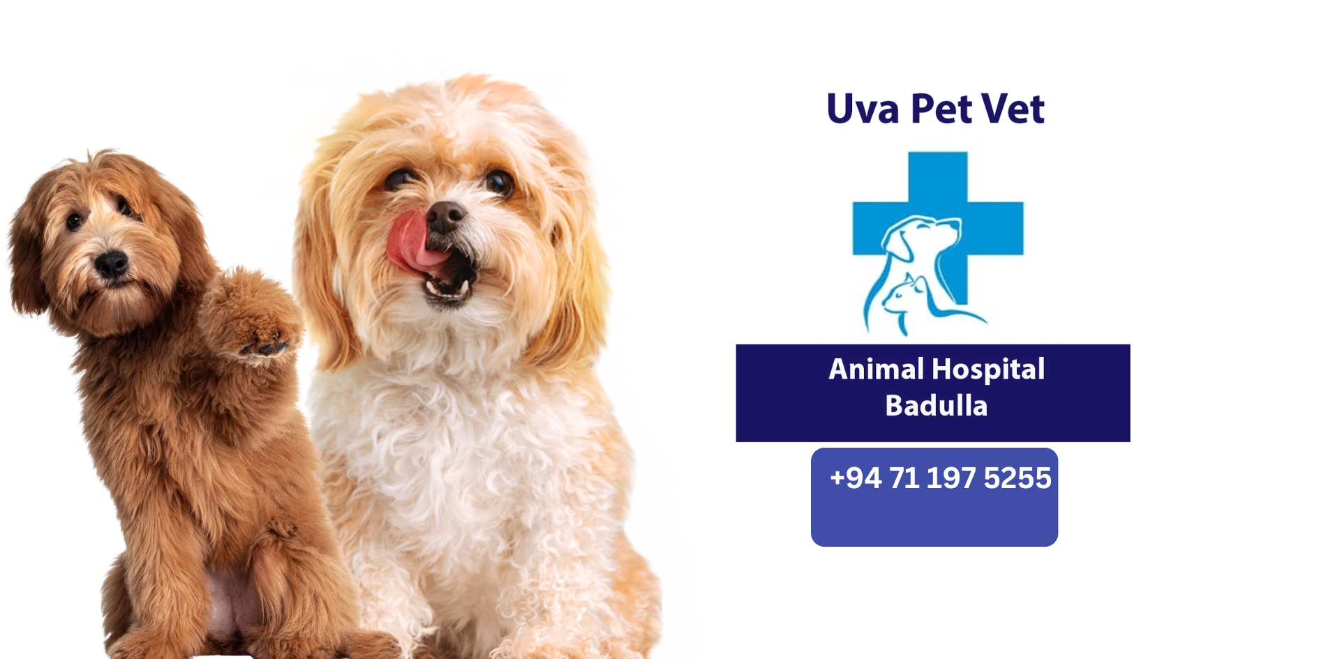 Happy Pet